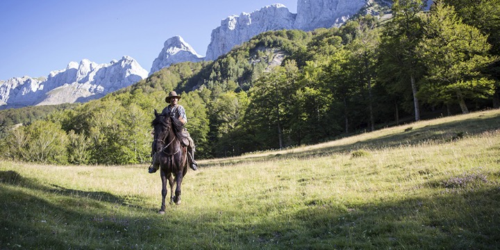 les_freres_sisters_web